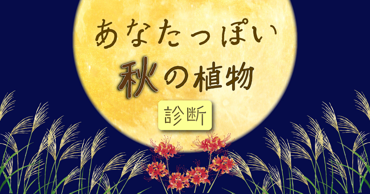 あなたを秋の植物に例えると診断