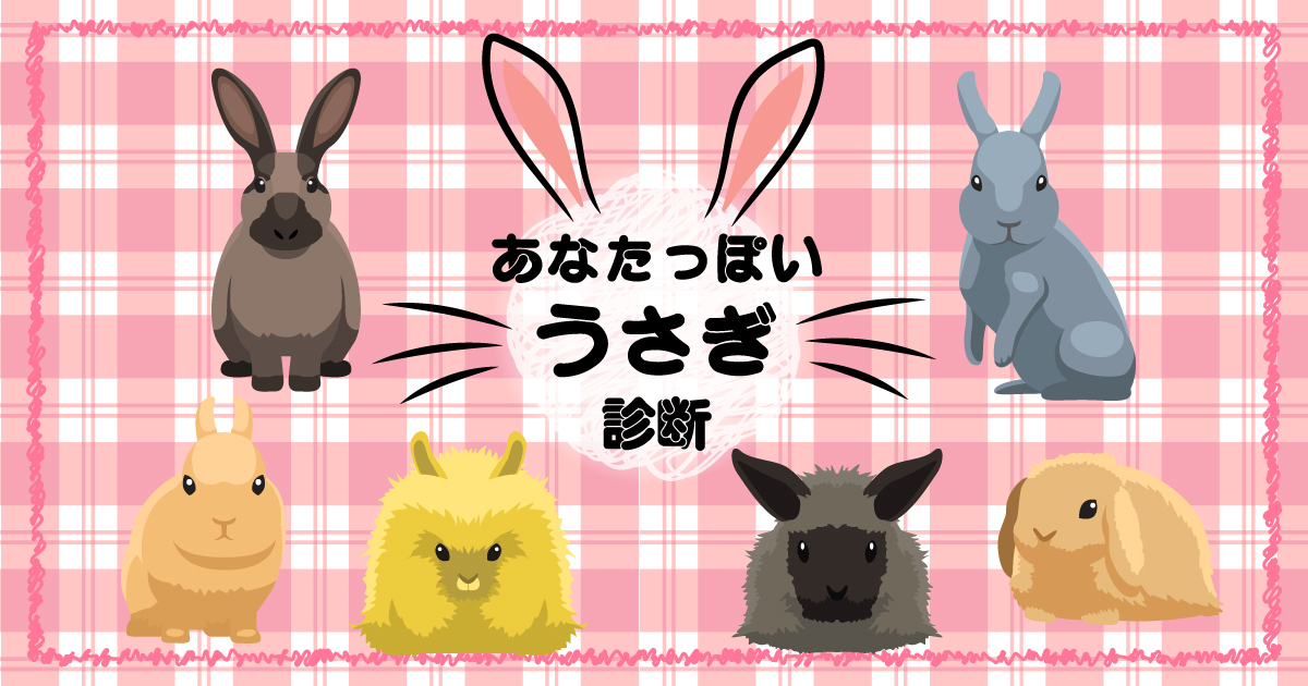 あなたってこんな子！あなたっぽいうさぎ診断