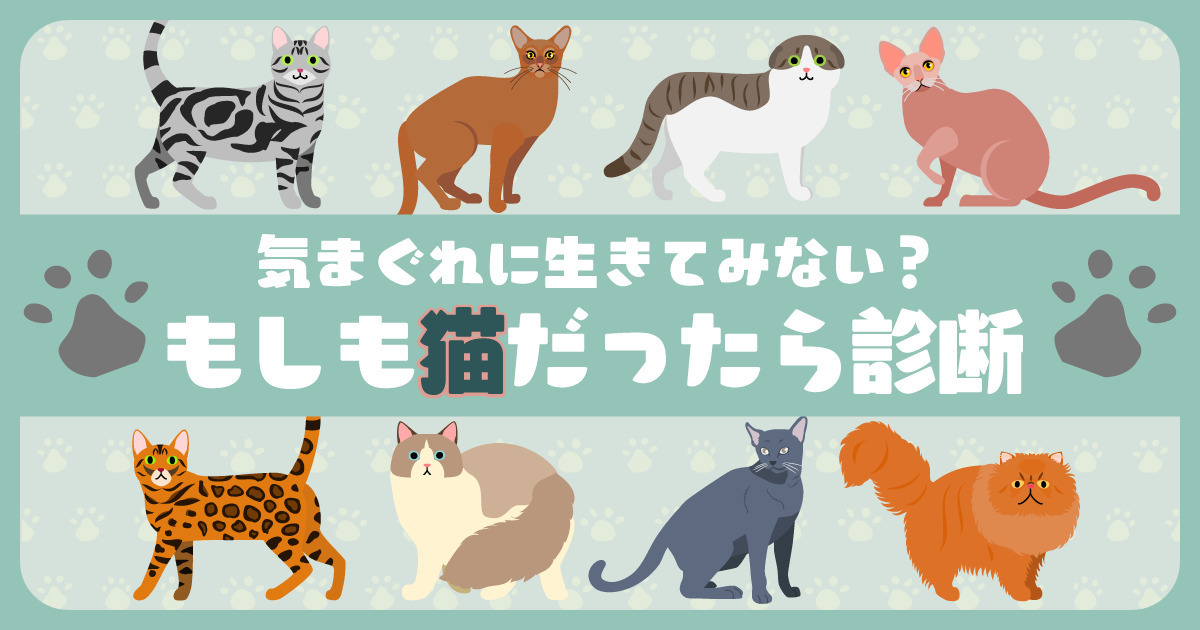 もしもあなたが猫だったら診断