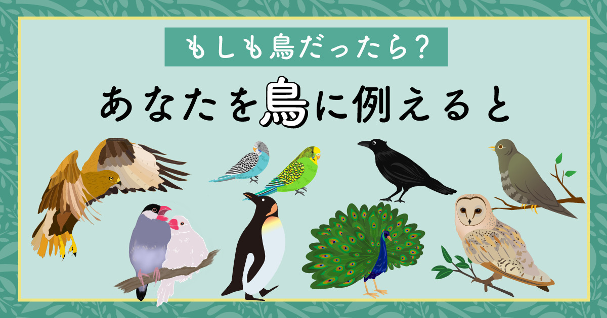 もしも鳥だったら？あなたを鳥に例えると診断