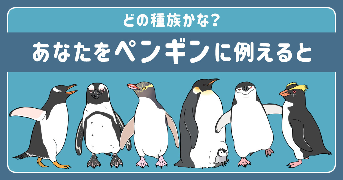 どの種族かな？あなたをペンギンに例えると診断